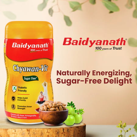 Baidyanath Sugarfree Chyawan Vit 1 Kg