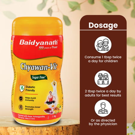 Baidyanath Sugarfree Chyawan Vit 1 Kg