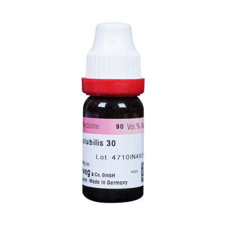 Dr. Reckeweg Mercurius Solubilis 30 Ch (11ml)