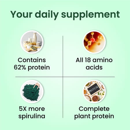 Vlado'S Himalayan Organics Spirulina Powder | For Men & Women | Contains 62% Protein - 100g