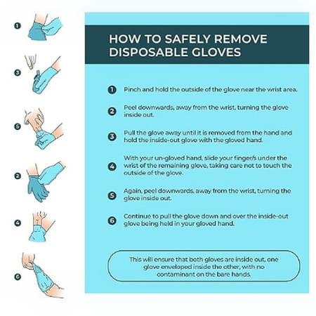 Latex Gloves 100