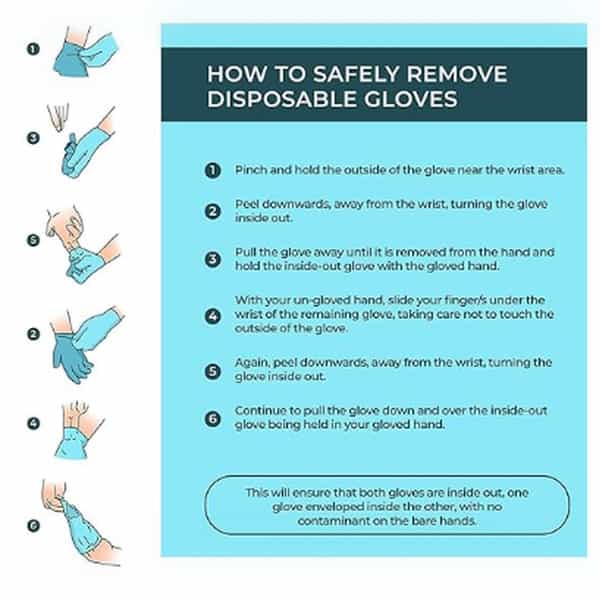 Latex Gloves 100