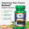 Cipzer Brahmi Capsule Enhance Memory And Brain Function With Cognitive Wellness 60 Capsules