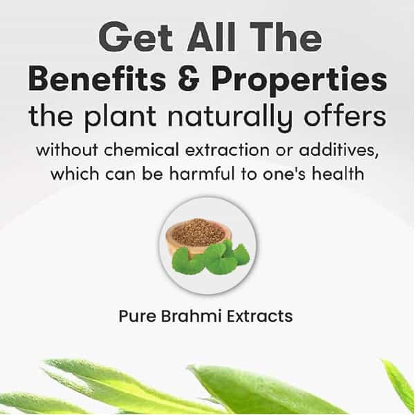 Cipzer Brahmi Capsule Enhance Memory And Brain Function With Cognitive Wellness 60 Capsules