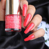 Debelle Gel Nail Polish Combo Set Of 9 Royal Charm -Scarlet Ruby 72ml (8ml Each) Gift For Girls