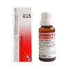 Dr. Reckeweg R 25 Drops 22 Ml