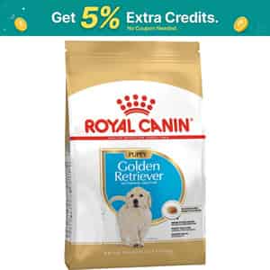 Royal Canin Golden Retriever Puppy Food | 12 Kg | Dry Food