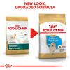 Royal Canin Golden Retriever Puppy Food | 12 Kg | Dry Food