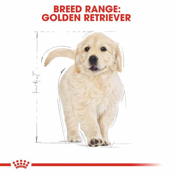 Royal Canin Golden Retriever Puppy Food | 12 Kg | Dry Food
