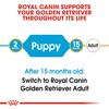 Royal Canin Golden Retriever Puppy Food | 12 Kg | Dry Food