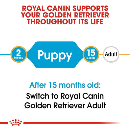 Royal Canin Golden Retriever Puppy Food | 12 Kg | Dry Food