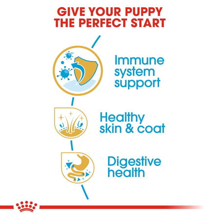 Royal Canin Golden Retriever Puppy Food | 12 Kg | Dry Food