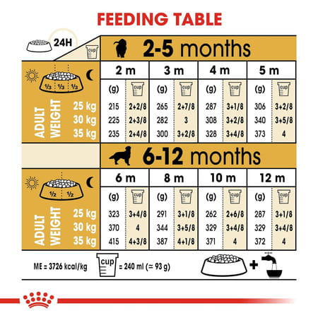 Royal Canin Golden Retriever Puppy Food | 12 Kg | Dry Food