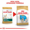 Royal Canin Golden Retriever Puppy Food | 12 Kg | Dry Food