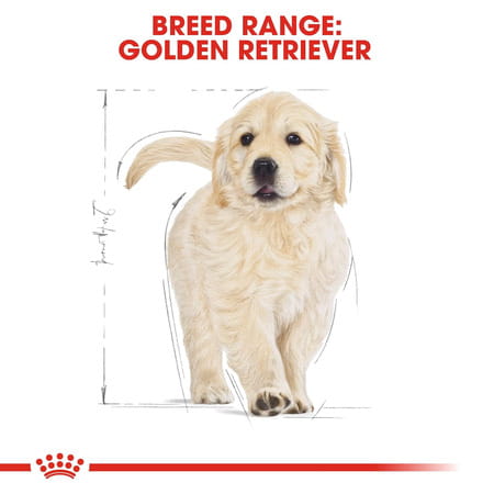 Royal Canin Golden Retriever Puppy Food | 12 Kg | Dry Food