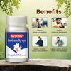 Baidyanath Sitopaladi Churna 60g | Supports Healthy Respiratory System | Provides Nutrition & Energy
