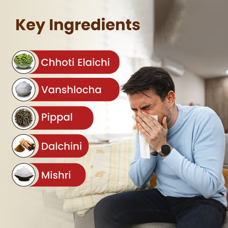 Baidyanath Sitopaladi Churna 60g | Supports Healthy Respiratory System | Provides Nutrition & Energy
