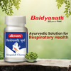 Baidyanath Sitopaladi Churna 60g | Supports Healthy Respiratory System | Provides Nutrition & Energy