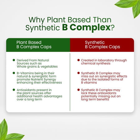Vlado'S Himalayan Organics Plant Based B-Complex - 30 Veg Capsules