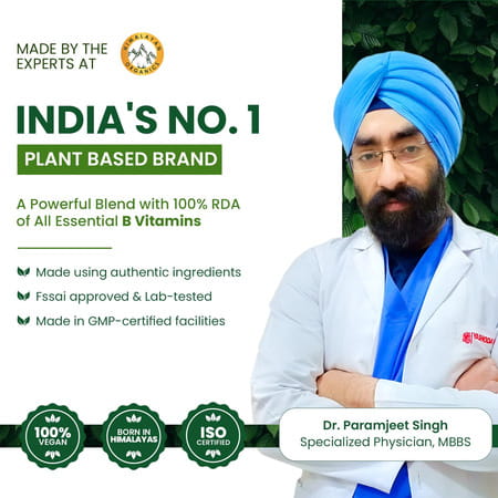 Vlado'S Himalayan Organics Plant Based B-Complex - 30 Veg Capsules