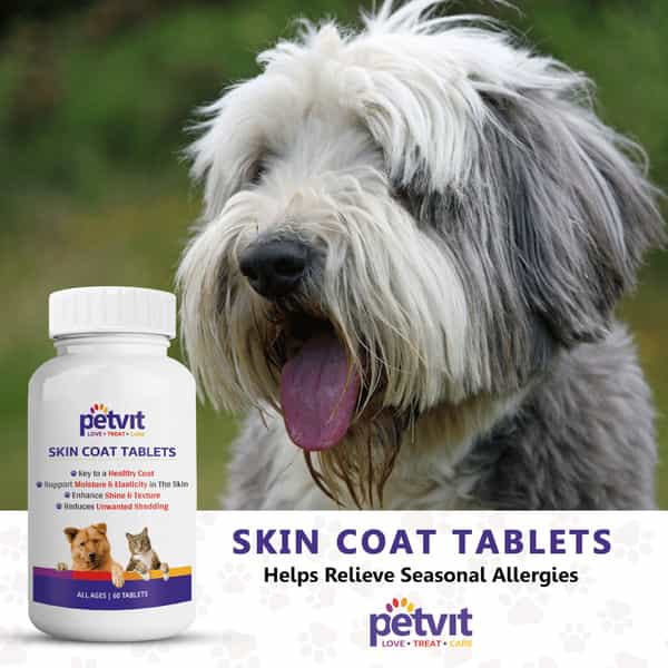 Petvit Skin & Coat Tablets For Dog Shiny Coat | For All Age Group | Palatable Chewable- 60 Tablets