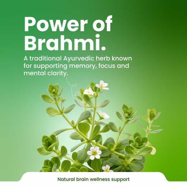 Green Milk Concepts Green Milk Brahmi Capsules | Memory | Focus & Mental Wellness | 30 Capsules