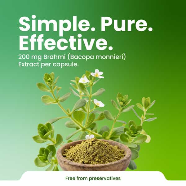 Green Milk Concepts Green Milk Brahmi Capsules | Memory | Focus & Mental Wellness | 30 Capsules
