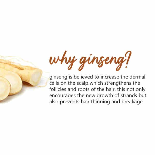 Plum Ginseng Root Nourish Hair Oil - 100 Ml