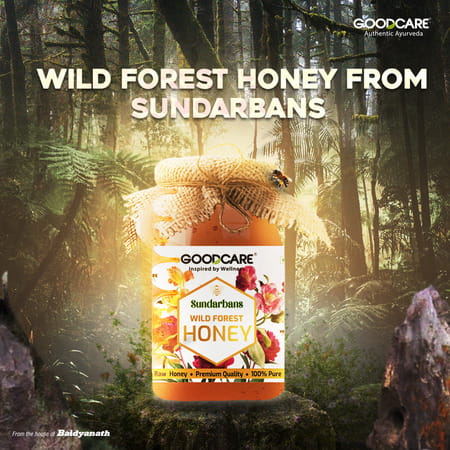 Goodcare Sundarbans Wild Forest Honey 500G | 100% Raw | Natural & Pure | Boosts Immunity