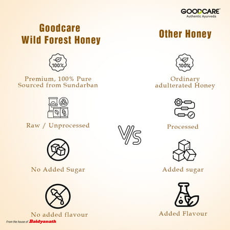 Goodcare Sundarbans Wild Forest Honey 500G | 100% Raw | Natural & Pure | Boosts Immunity