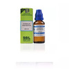 Sbl Hypericum Perforatum Dilution 200 Ch 30 Ml Pack Of 3