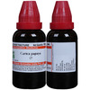 Dr. Willmar Schwabe India Carica Papaya Mother Tincture Q 30 Ml