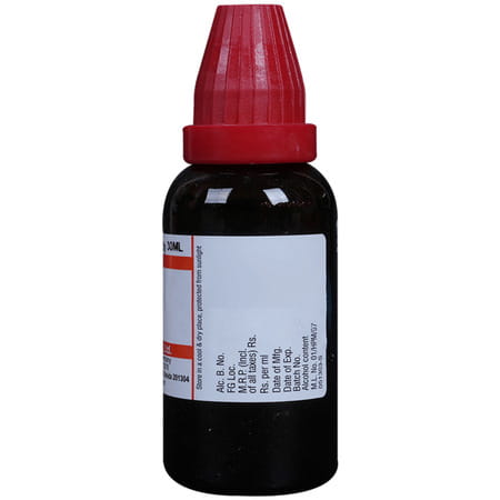 Dr. Willmar Schwabe India Carica Papaya Mother Tincture Q 30 Ml