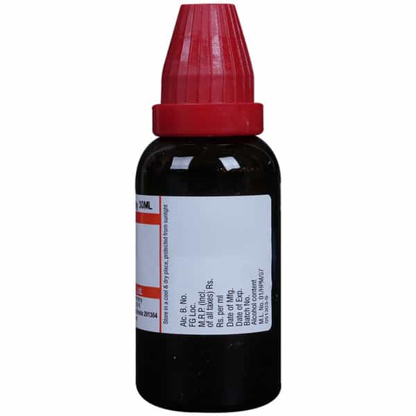 Dr. Willmar Schwabe India Carica Papaya Mother Tincture Q 30 Ml