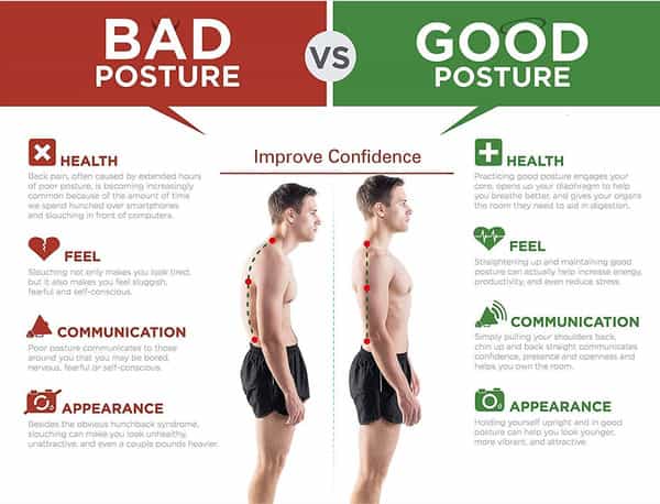Liveasy Ortho Care Posture Corrector With Magnetic Plates At Back Support For Men & Women
