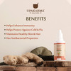 Upakarma Ayurveda Ginger Drops An Ayurvedic Herb Drops To Boost Immunity And Strength- 30Ml