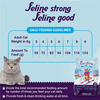 Purrfeto Adult Dry Cat Food | Chicken & Rice | 3 Kg