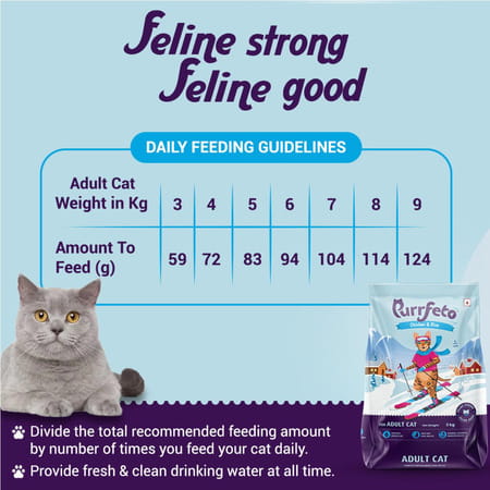 Purrfeto Adult Dry Cat Food | Chicken & Rice | 3 Kg