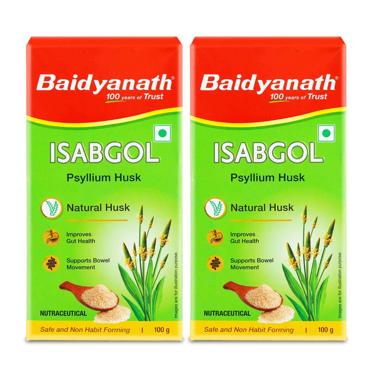 Baidyanath Ayurved Isabgol (Psyllium Husk) Powder 100g For Digestive Health (Pack Of 2)