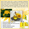 Earth N Pure Arnica Oil (100 Ml)
