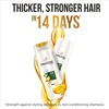 Pantene Advanced Hair Fall Solution Silky Smooth Care Conditioner - 80Ml
