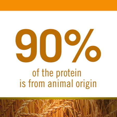 Farmina N&D Ancestral Grain Dry Dog Food | Senior Adult Medium & Maxi Breed | 2.5-Kg