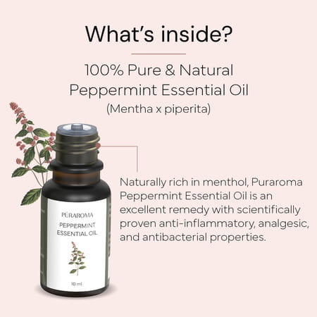 Puraroma Peppermint Essential Oil - 10 Ml