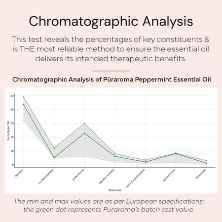 Puraroma Peppermint Essential Oil - 10 Ml