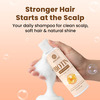 Alglaze Biotin Hair Shampoo | Scalp Purifying | Apple Cider Vinegar| Biotin & Aloe Vera | 200Ml