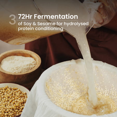 Nat Habit Hibiscus Shampoo & Conditioner Combo With Reetha & Amla For Men & Women 400 Ml