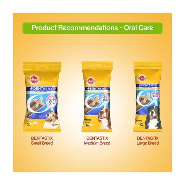 Pedigree Meat Jerky Stix Bacon Dog Food 60 Gm