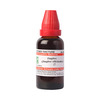 Dr. Willmar Schwabe India Zingiber (Zingiber Officinale) Mt 30ml