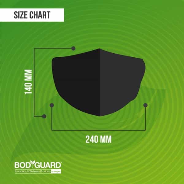 Bodyguard N95 + Pm2.5 Anti Pollution Face Mask With Valve And Activated Carbon - Large