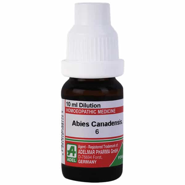 Adel Abies Canadensis. Dilution 6 10 Ml